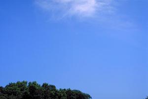 2025年最新版：浅草でお墓をお探しの方必見！選び方とお墓の維持管理のポイント