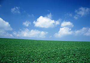 川越市で安心の家族葬を実現するための完全ガイド|費用・プラン・信頼できる葬儀社の選び方