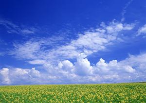 磐田市二之宮の家族葬・一日一施行の貸切葬儀場【富士葬祭 中泉】の特徴とサービス内容