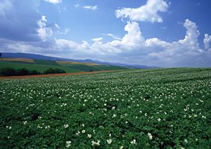 静岡市の信頼と実績を誇る葬儀会場【富士葬祭 静岡】の特徴とサービス概要