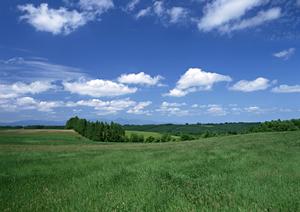 静岡市清水区で高品質な家族葬と葬儀サービスを提供する富士葬祭・清水有東坂の総合案内