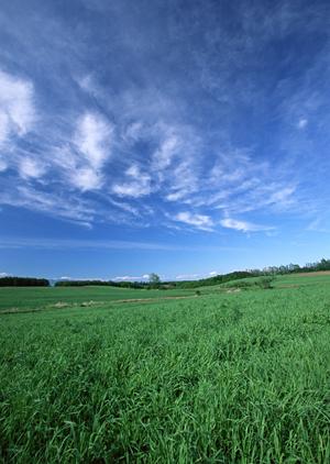 静岡市駿河区に新規オープン!家族葬の専門斎場「家族葬のタクセル西中原」の特徴と魅力