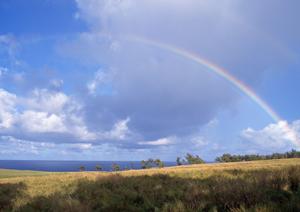 富士宮市三園平の信頼と実績の葬儀会場|富士葬祭 三園平の特徴とサービス内容