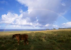 焼津市浜当目にある信頼の葬儀場【富士葬祭 焼津】の特徴と詳細情報