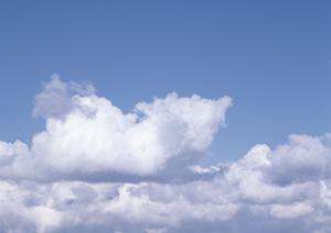 静岡県浜松市の信頼できる葬儀場:富士葬祭 高林の総合ガイド