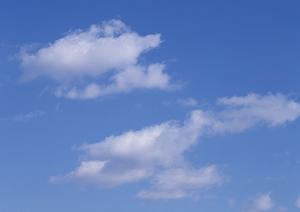 静岡市駿河区の信頼と実績を誇る家族葬・葬儀場【富士葬祭 聖一色】の特徴とサービス内容