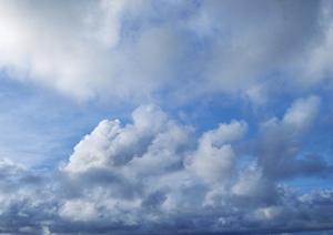 403 Forbiddenエラーについての理解と対処法